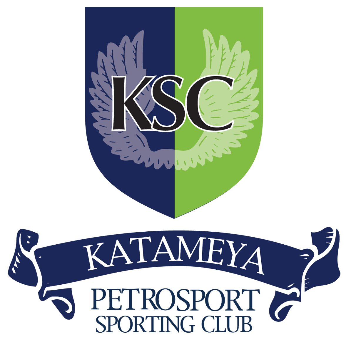 KSC TV intelligence overview